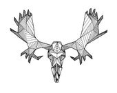 Detailed Geometric Moose Skull Drawing - (Digital Art Print from Original Skeleton Illustration)