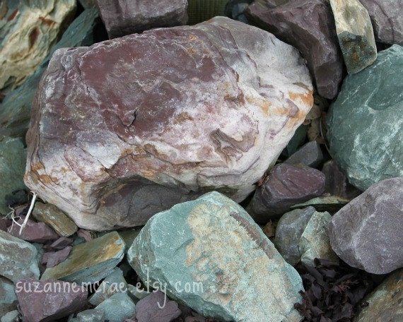 8x10 print - Newfoundland Canada - green and purple rocks