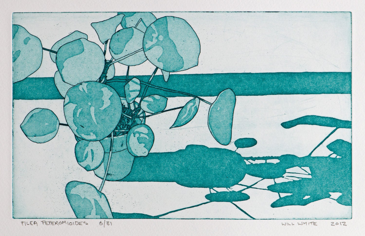 Pilea Peperomioides Pot Plant Etching Print