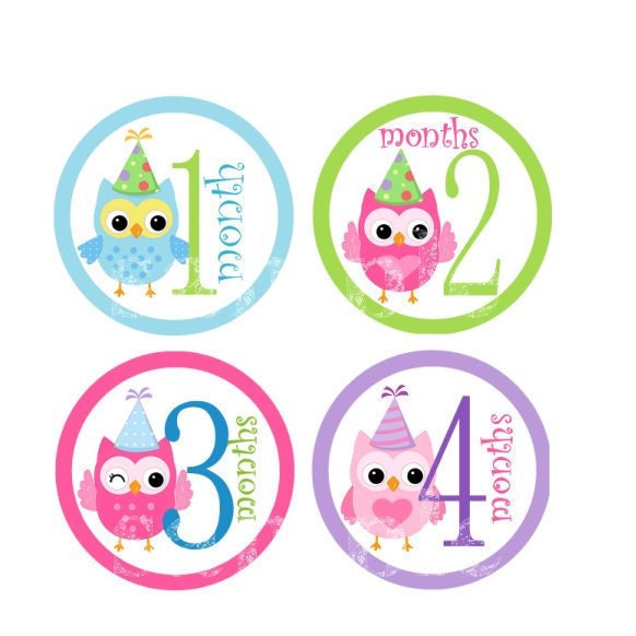 Baby Onesie Monthly Iron On  Transfers - Cute Birthday Owls D1