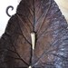 deer antler horn tip jewelry: deer bone necklace