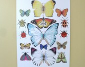 Butterfly Poster A4 Print Pretty Wall Art