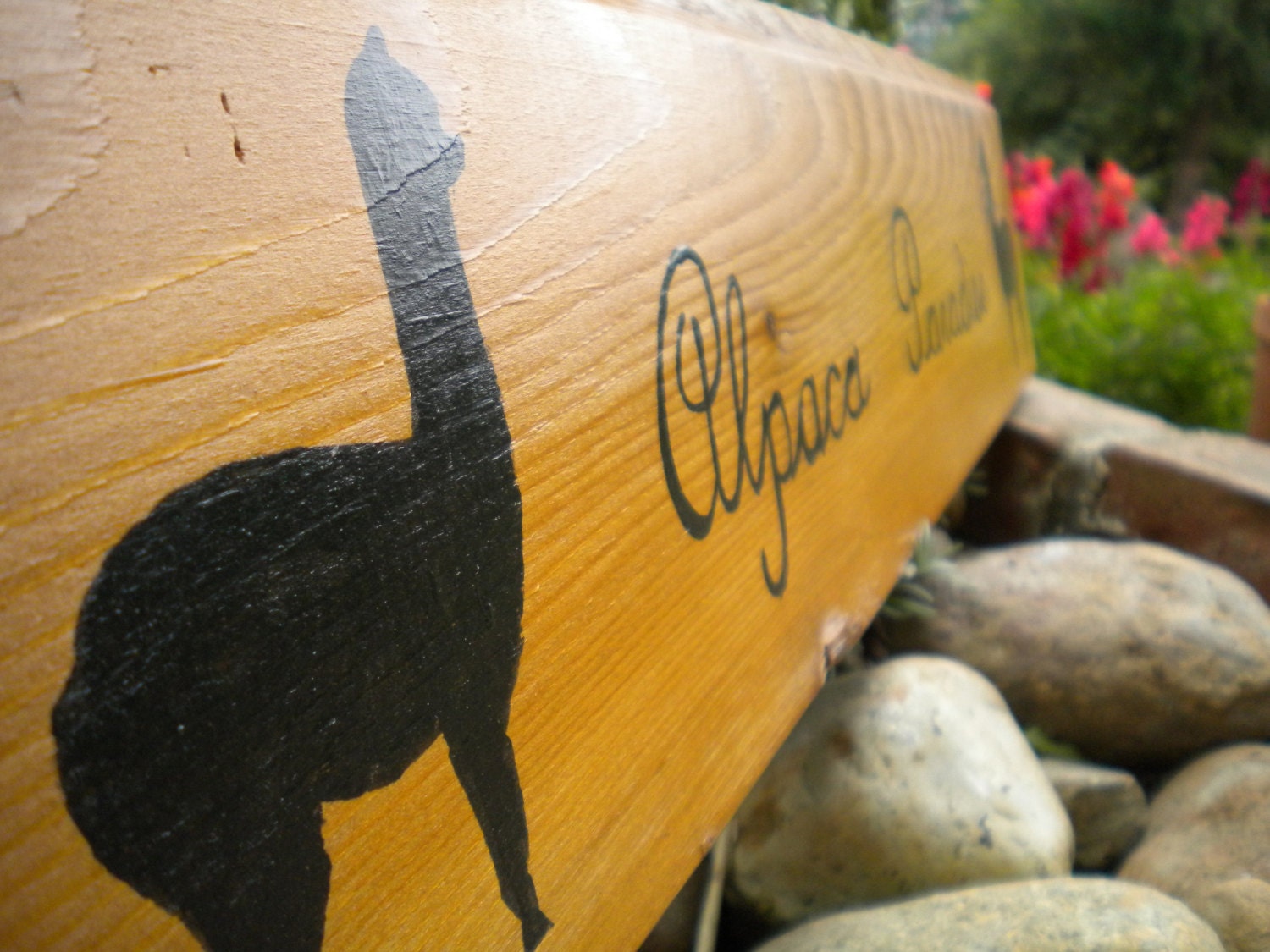 Alpaca Paradise Hand-painted Cedar wood sign for Alpacas