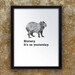 History. It's So Yesterday. - pensive capybara - student of past events - teacher - print of drawing with direct thought - school - study