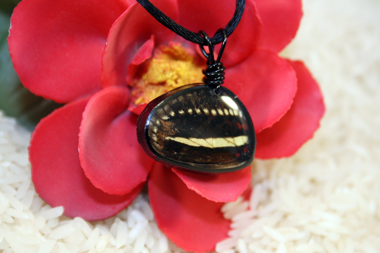 Butterfly Pendant, Real Butterfly Wing Pendant - OOAK - Wire Wrap Bail with Silk Necklace