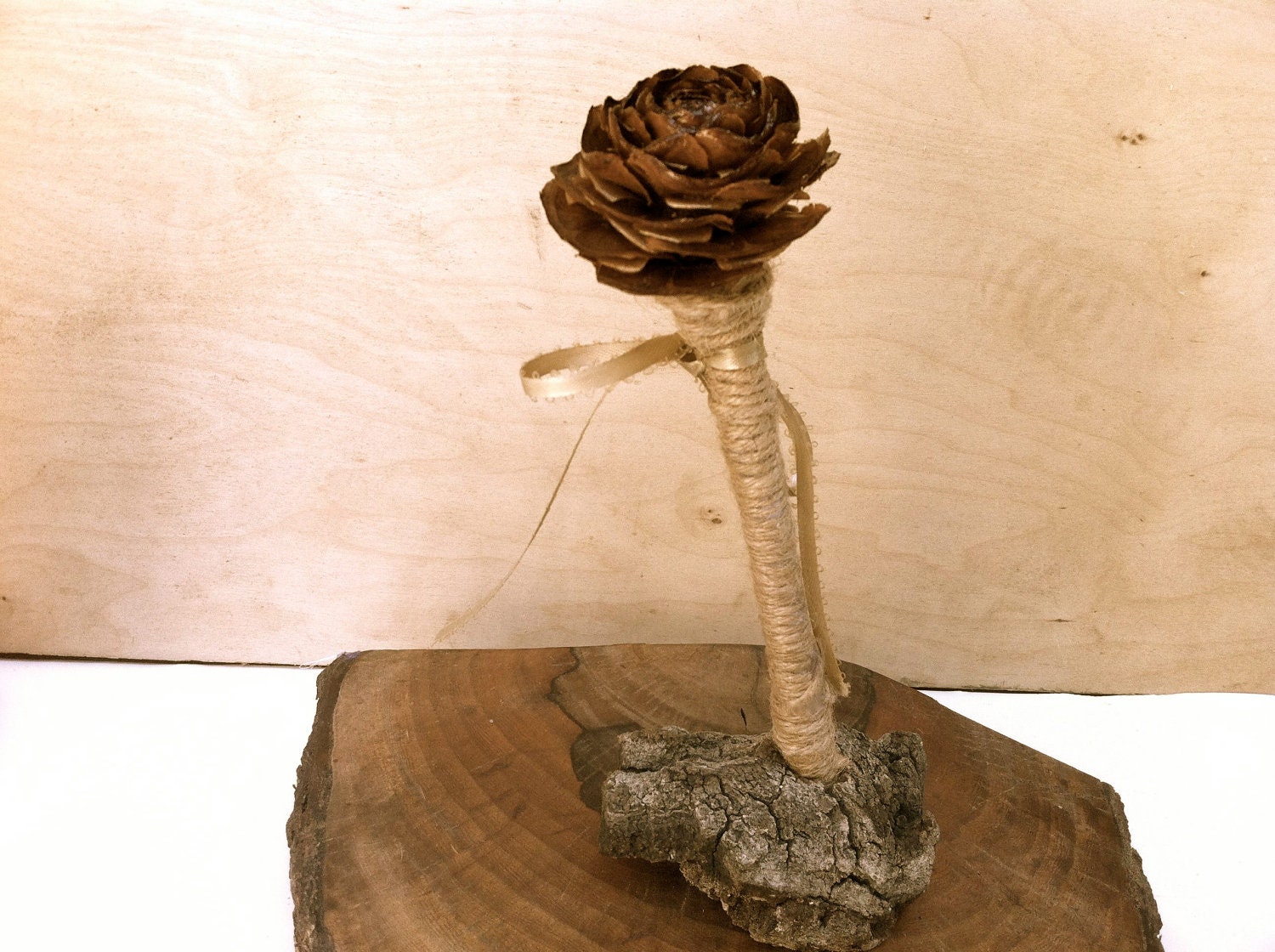 Rustic wedding guest book pen pine cone forest fall country winter decorations
