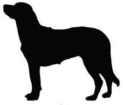 Adorable Anatolian Shepherd Dog Vinyl Window Decal