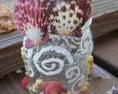 Seashell Bottle Beach Home Decor Natural Seashell Decorated Bottle