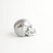 The Nedwhin - Chrome Faux Human Head - Resin Skeleton - Sugar Skull Like