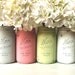 MOXIE - SPRING and Summer WEDDING and Home Decoration - Painted and Distressed  Mason Jars - Vase