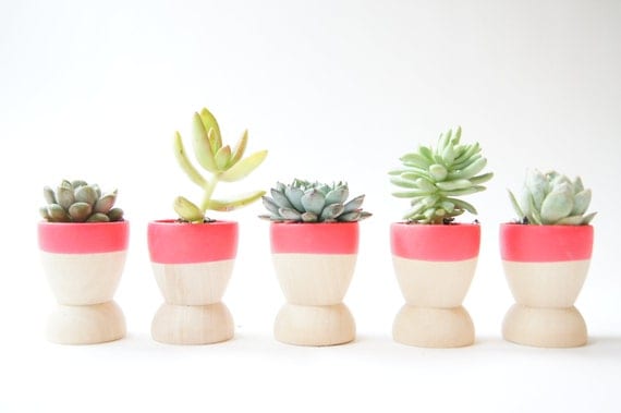 Mini Planters set of 5, Neon Pink, modern home decor, wedding favors