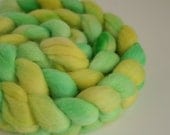 Handpainted Polwarth Fiber for Spinning or Felting "Lemon Lime Soda"