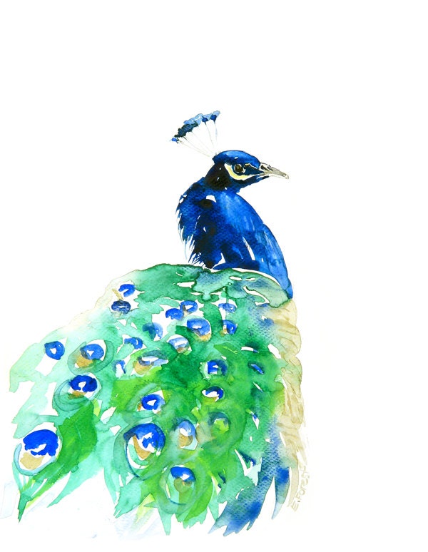 Peacock Watercolor Painting, Art Print- Limited Edition 8/100 , Giclee