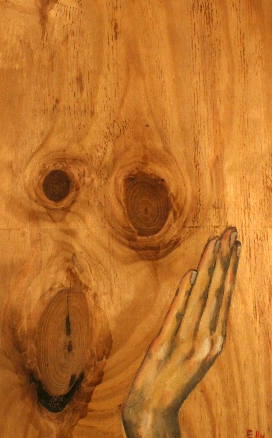 Surprised Animal Face