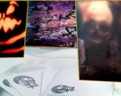 Halloween Assortment - 6 Pack of Blank Greeting / Note Cards - Mela -5x7 Great Quality