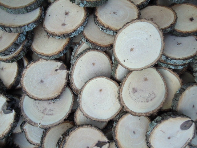 100 hickory 2" rustic wood slices for crafts, candles, decoration, blanks, rustic weddings, wood slices