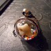 Sweet Tooth Real Human Tooth with Cavity in Candy Sprinkle Necklace Bubble