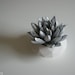 Succulent Sculpture in White Modern Faceted Geometric Container, Spring Tabletop, Wedding Centerpiece