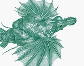 Vintage Print Animal  Fish Dragonfish wall art wall decor