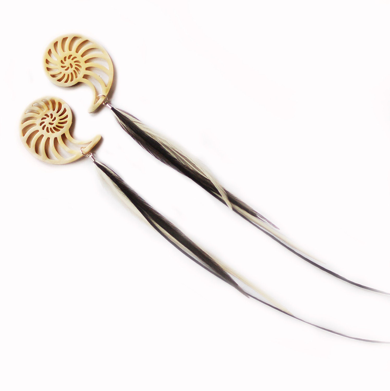 Feather & Opaque Horn Chambered Nautilus Earrings