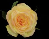 Yellow Full Bloom Rose Paper Flower Wedding Anniversary Bouquet Valentines Centerpiece Custom Made to Order