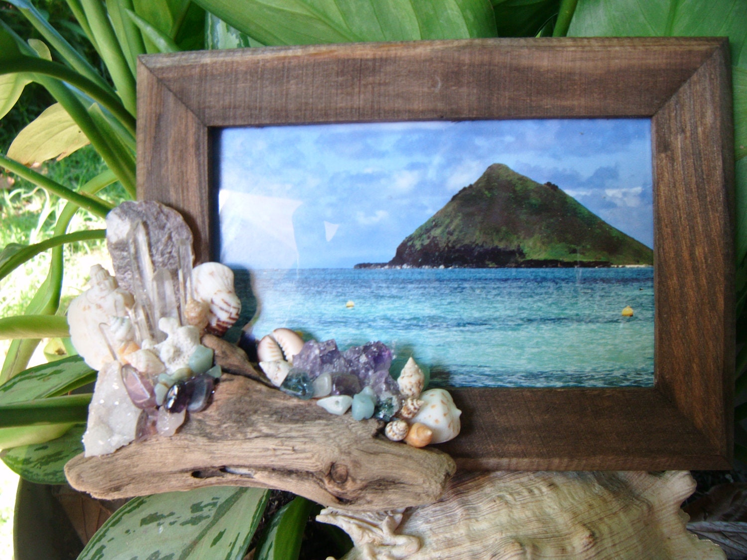 Beach Wood Frames