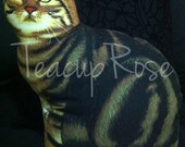 Tabitha the Tabby Cat Cushion
