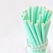 Paper Straw Solid Color - Pastel Green x 25
