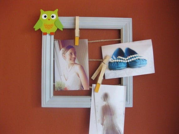 Owl photo display