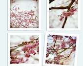 50% off - Set of 4 6x6 Nature Photographys collection Photography prints Fine Art