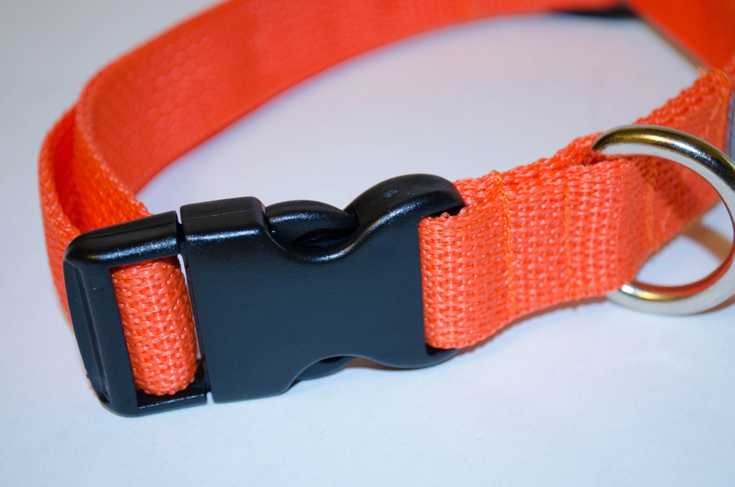 1" Large Breed HUNTING Dog Collar - Blaze Orange