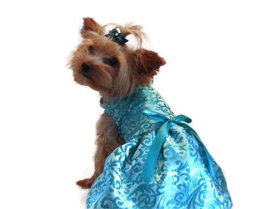 Dog Dress, Teal Brocade, Trimmed with Teal Bow
