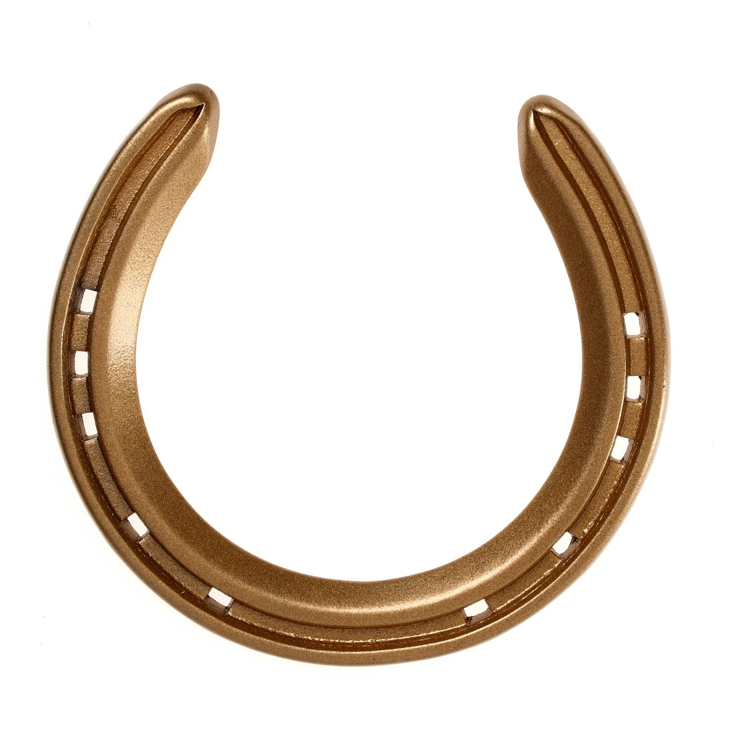 gold horseshoe