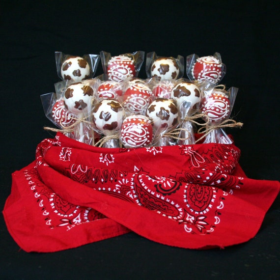 12 Cowboy or Cowgirl Cake Pops - for Country, Wild West, Rodeo, Farm, Barnyard, favors, party