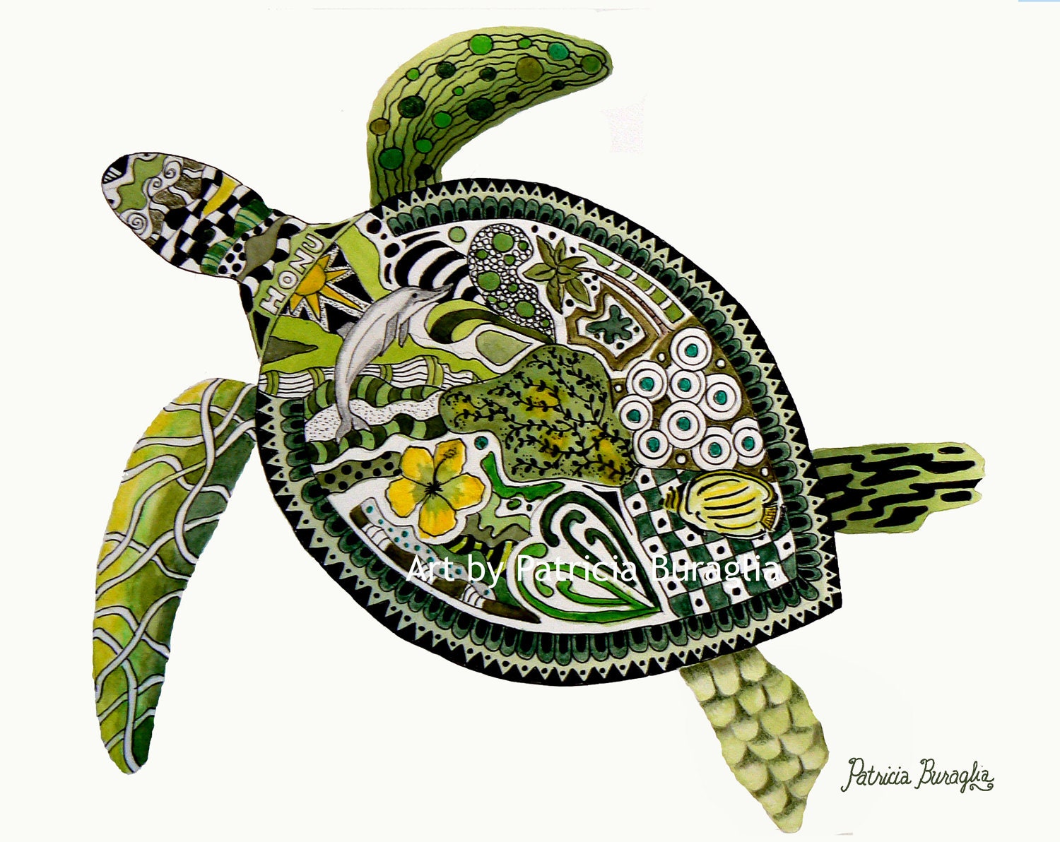 Twisted Turtle