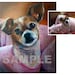 NEW SIZE: 8" X 10" Custom Pet Portrait (1 Pet) from Your Photo, Oil Pastel on Paper