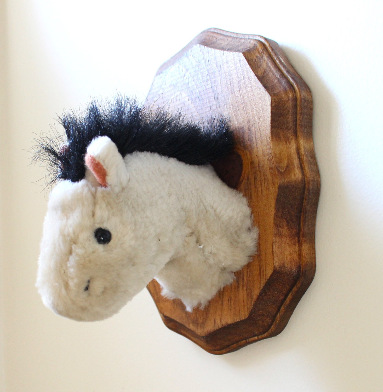 Animal Marino Pepino