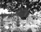Disneyland California Lanterns - Black & White Photograph