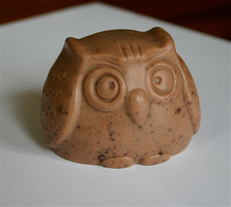 Scrumptious Chocolate owl soap made with shea butter - Redblossomshop