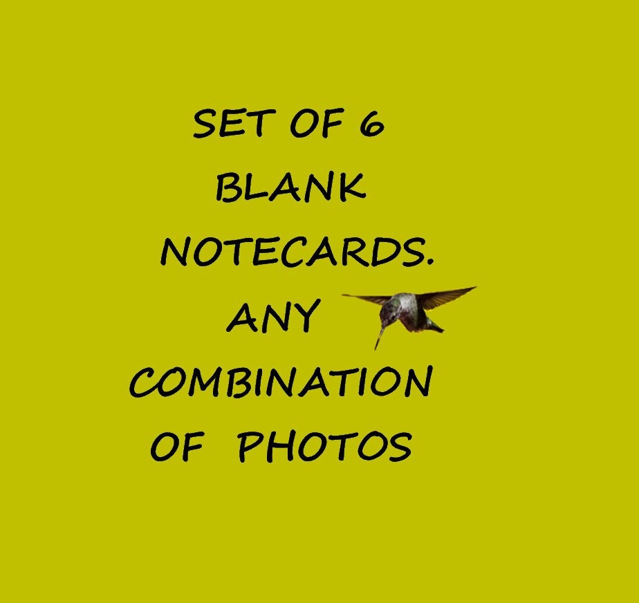 Custom cards, nature card, Make your own set of blank photo notecards, choose any 6 photos