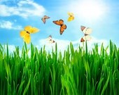 Clean Scents Bulk Gift Bag -  x20, 1oz each