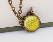 Honeycomb Natural History Small Pendant Necklace Honey Bee Yellow Gold