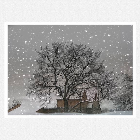 Winter Photography, white, tree, barn, snow, winter home decor, Snow Barn, nature fine art photography print 8x10