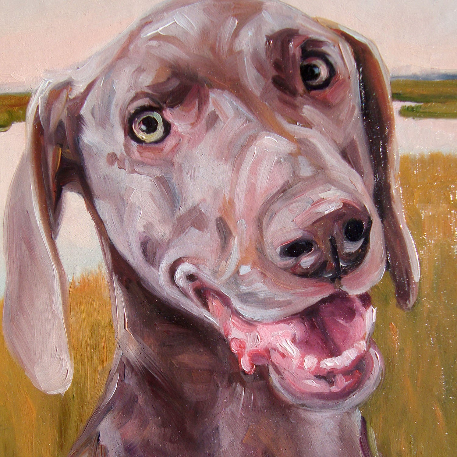 Vizsla Koda, custom Pet Portrait Oil Painting by puci, 8x8"