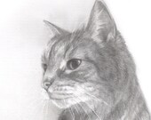Custom pet portrait - 9x12, single subject