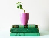 Sea Green Instant Book Collection/vintage Book Decor/Seafoam Green Library