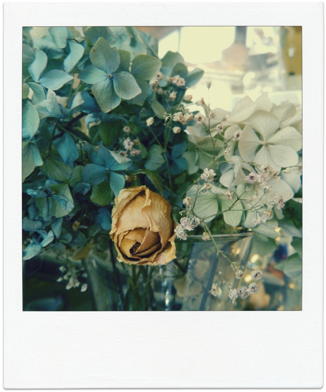 singled out (photograph)
