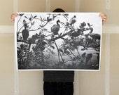 Bird Colony - 24x36 Plotter Poster