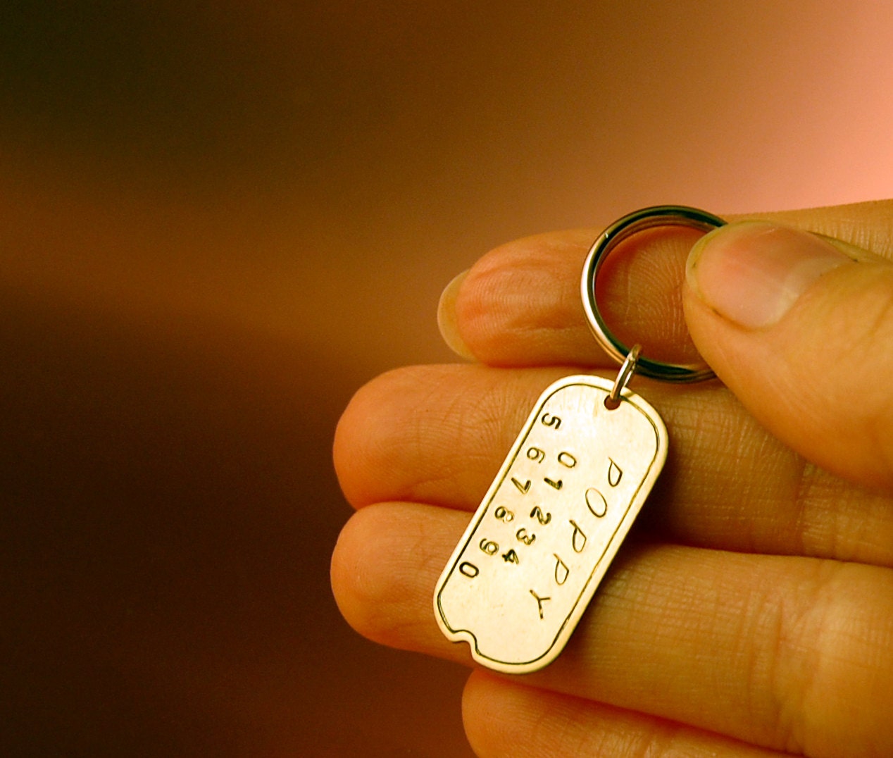 Cat ID Tag - Mini Dog Tag