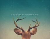 Stargazing Deer - Home Decor -Rustic- Dreamy - Children's Decor - Shabby Cottage Decor - Fine Art Photograph - "STARGAZER"